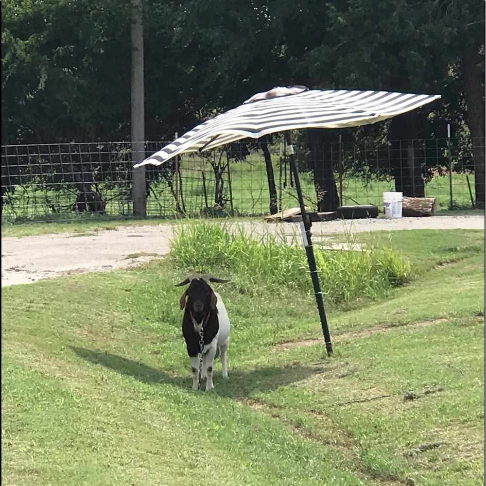 Meet your Posher, Kerry